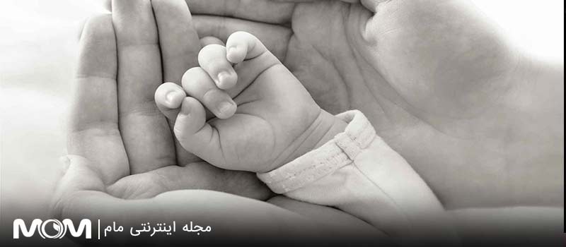 اهدای جنین