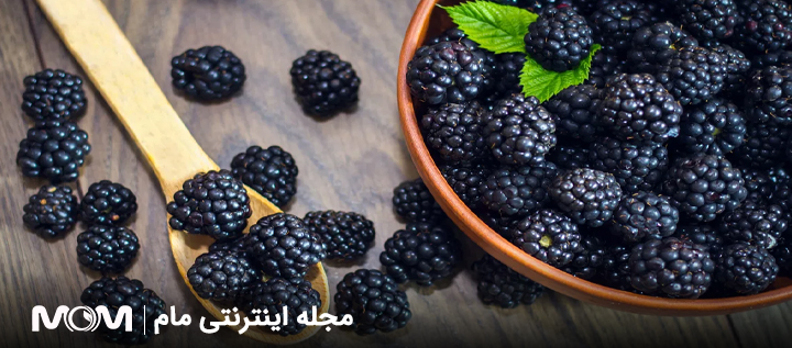 مصرف شاه توت در بارداری
