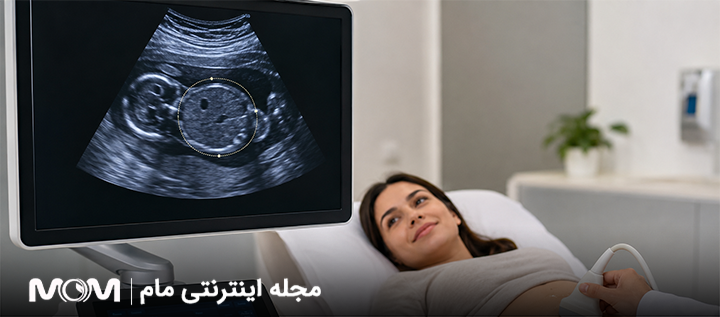 Ac در سونوگرافی جنین چیست