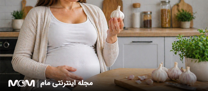 خواص سیر در بارداری