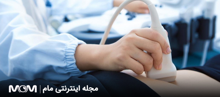 ارزیابی کیفیت تخمک