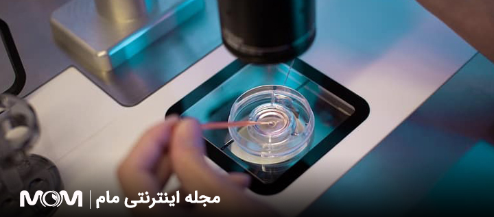 فریز تخمک برای زنان مبتلا به سرطان