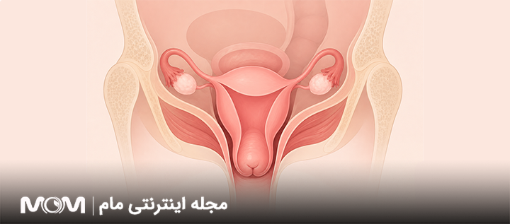 از کجا بدونم افتادگی رحم دارم