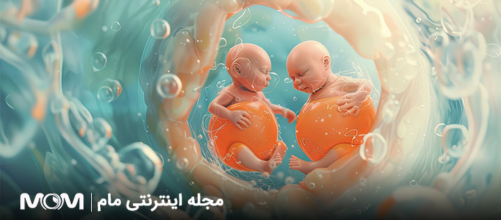 علائم بارداری دوقلو