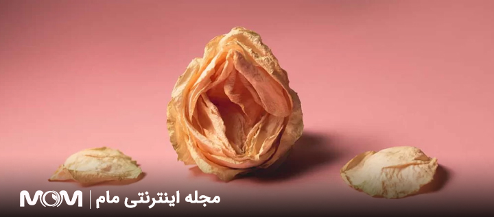 پرینورافی برای چه افرادی مناسب است