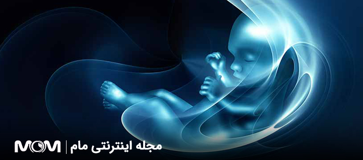 نقص لوله عصبی در جنین
