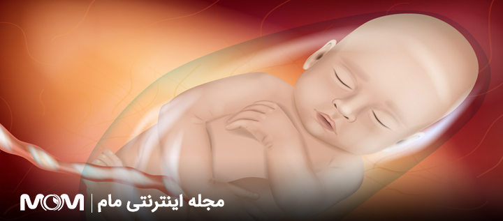 علل کاهش حرکات جنین
