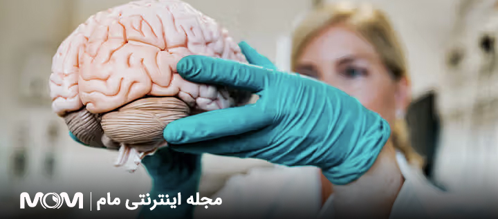 سندرم شیهان چیست