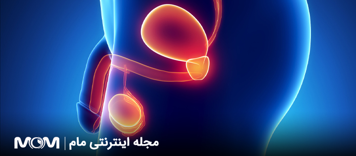 اندازه نرمال پروستات