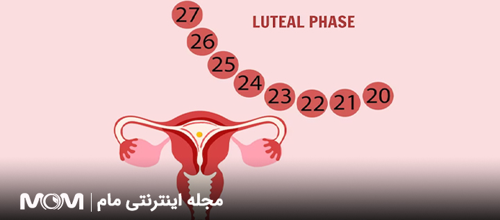 عوامل موثر روی میل جنسی در سیکل قاعدگی