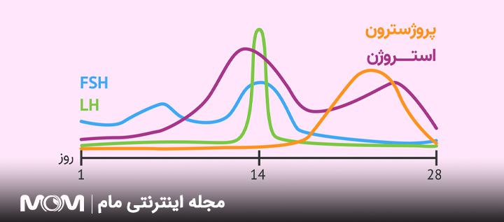 میزان نرمال پروژسترون در زنان