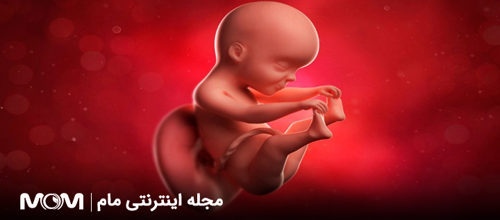 کاهش حرکات جنین