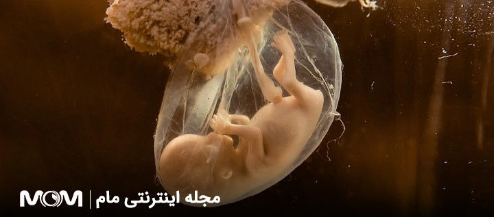 مشکلات جفت از دلایل پایین بودن بتا در بارداری
