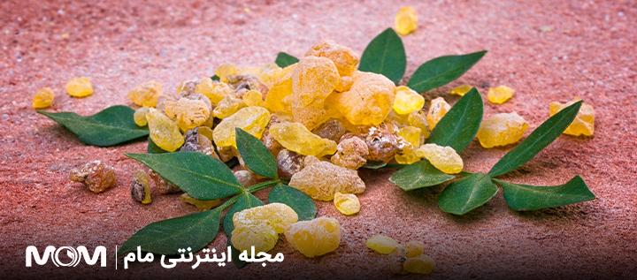 کندر برای هوش جنین