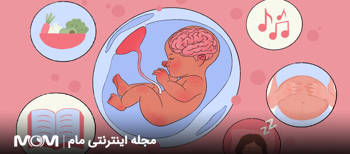 عوامل مؤثر بر هوش جنین در دوران بارداری