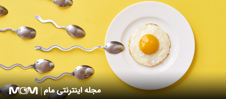رژیم کتوژنیک و تاثیر آن بر باروری