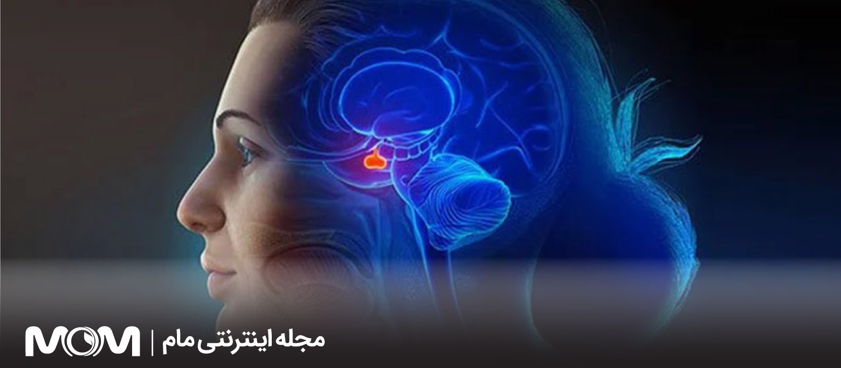 پرولاکتین بالا بر باروری